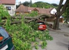 Kwikfynd Tree Cutting Services
scottscreekvic